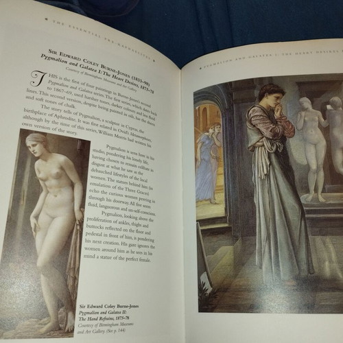 Essential Pre-Raphaelites book like new, Lucinda Hawksley