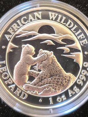 African Wildlife Leopard 1 oz 2019 new