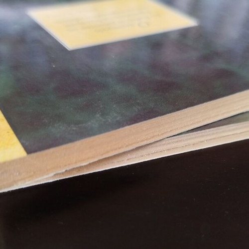 Classic literature books set new, Francis Scott Fitzgerald and Bruno Schulz