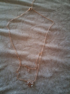 Double necklace new steel gold-colored