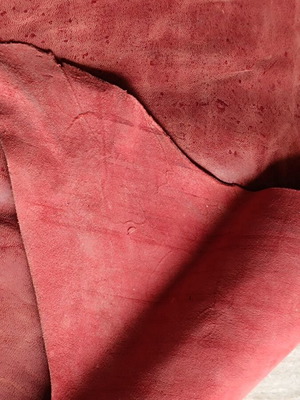 Κομμάτι δέρμα αγελάδας καινούργιο, πάχους 1,5 χιλιοστών για χειροτεχνίες