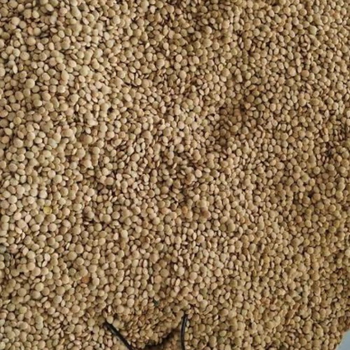 Organic lentils bulk 5kg vacuum packed