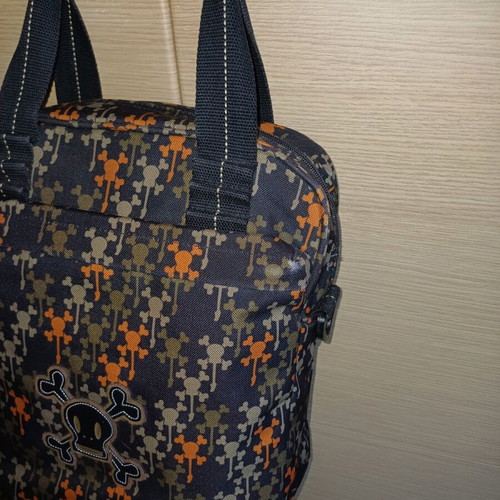 Paul Frank bag like new in harmonious colors