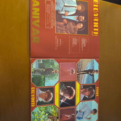 Vinyl records used, pack of 2, Stavros Xarhakos and Rena Violanti