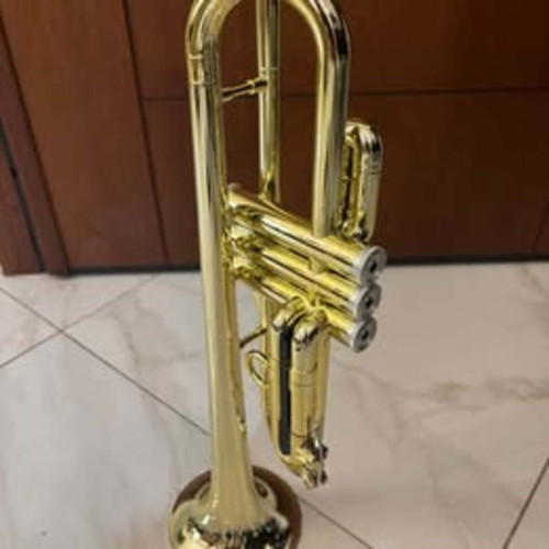 pTrumpet HyTech trumpet used, gold color with hard case and mouthpiece