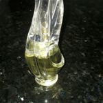 Donna Karan parfume