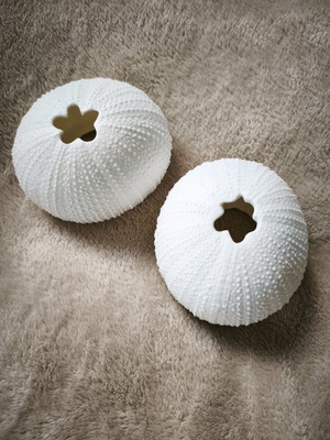 Ceramic sea urchin-shaped decor new