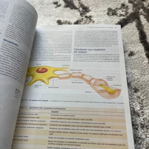 Book Human Physiology like new