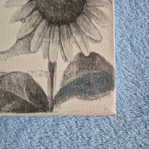 Vintage wall canvas with Cavalier King Charles Spaniel puppy and sunflowers