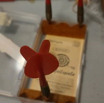 Wings darts used