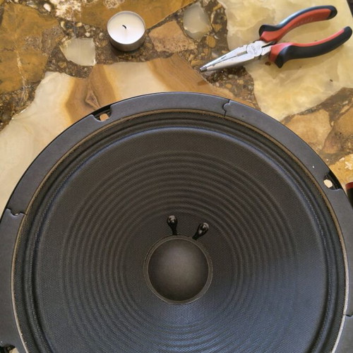 Vox VT series 10" speaker new full range