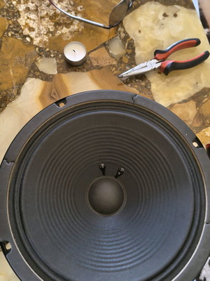 Vox VT series 10" speaker new full range