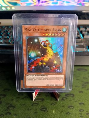 Mist Valley Apex Avian 1st Edition new