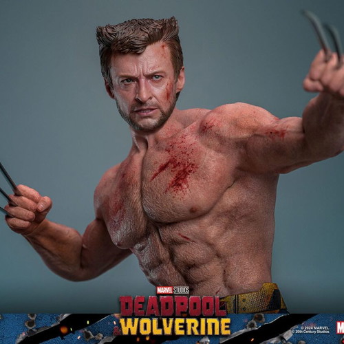 Hot Toys Wolverine TVA Jacket Version 1/6 Scale new