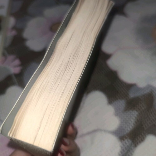 The Lady of the Camellias book like new by Alexandre Dumas