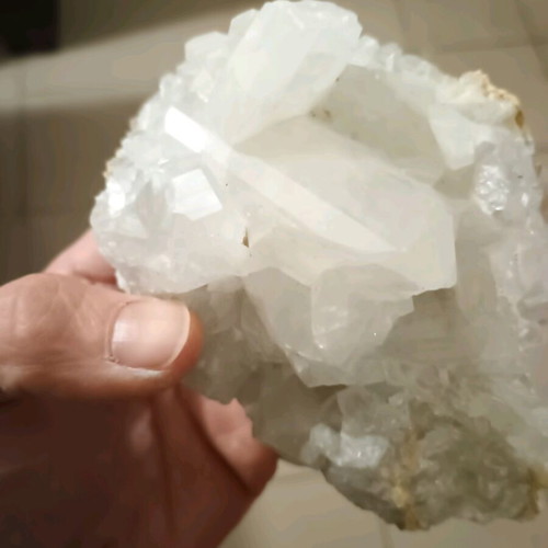 Cactus quartz new