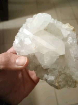 Cactus quartz new