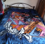 Double velvet blanket used, 2.20x2.40 m