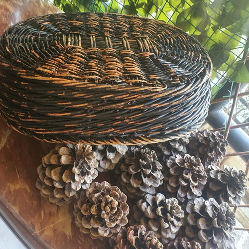 Basket with 15 pine cones