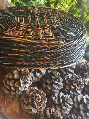 Basket with 15 pine cones