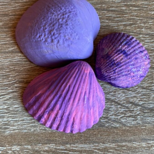 Decorative seashells hand-painted set of 18 with acrylic colors