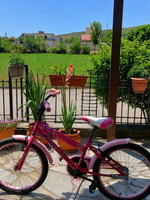 Children's 20" pink bike with training wheels