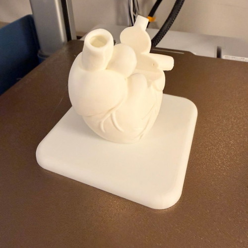 3D Printed Card Holder Cardiologist Design