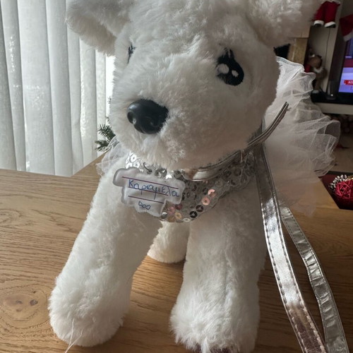 Doggie Star Bag Like New White With Silver Sequin