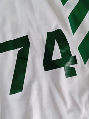 PAO match shorts adidas