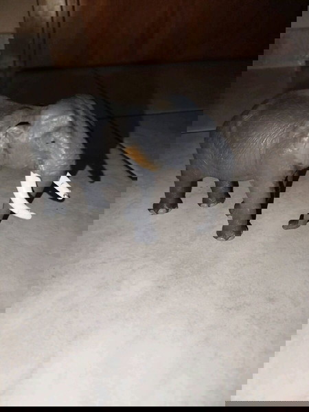 Papo Φιγούρα ελέφαντας
