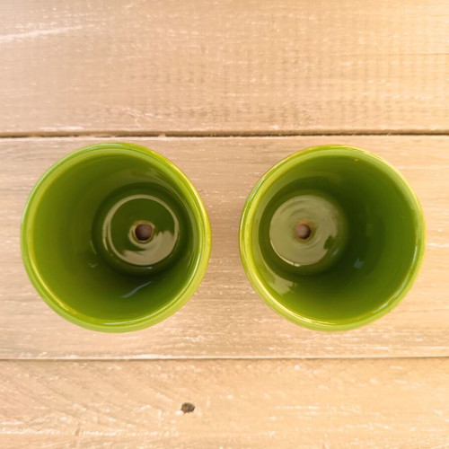 Self-Watering Plant Vases by Nature & Découvertes used