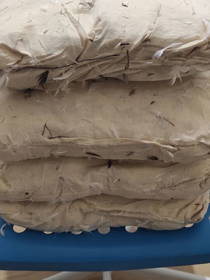 Sofa pillows like new with goose down 35x35 cm