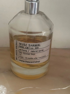Etherio Lab Musk Shamal perfume used