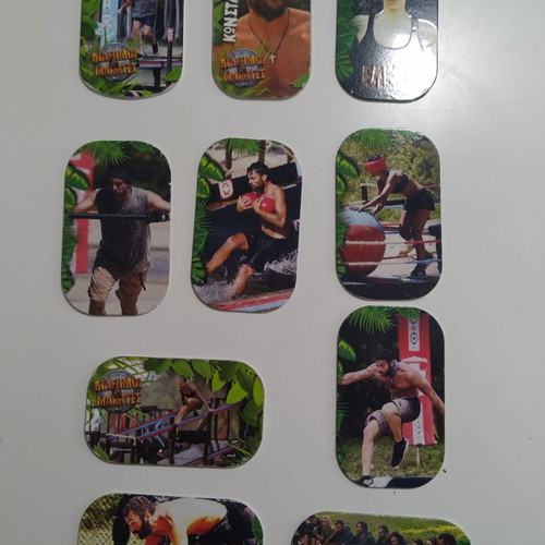 Survivor tags used, in excellent condition, set of 10