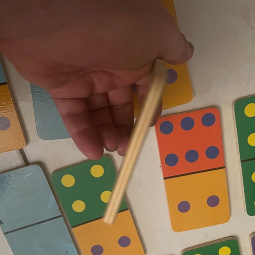 Wooden puzzle 'Find the Pair' for ages 3+, like new