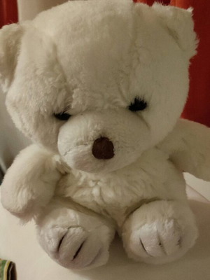 White teddy bear used