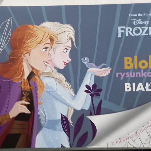 Frozen Drawing Pad A4 20 Sheets new