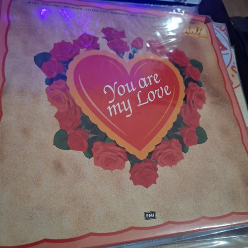 You Are My Love 1993 vinyl record