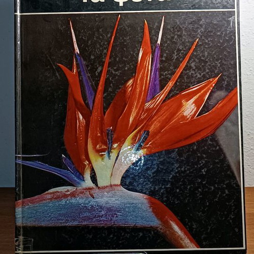 Plants used color thematic encyclopedia “Our World”