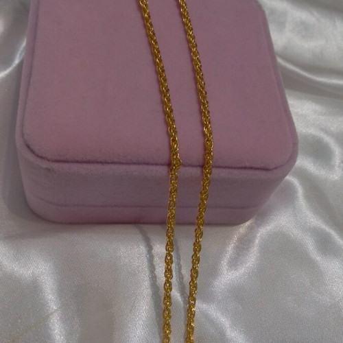 Lion Necklace Gold Plated Stainless Steel New
