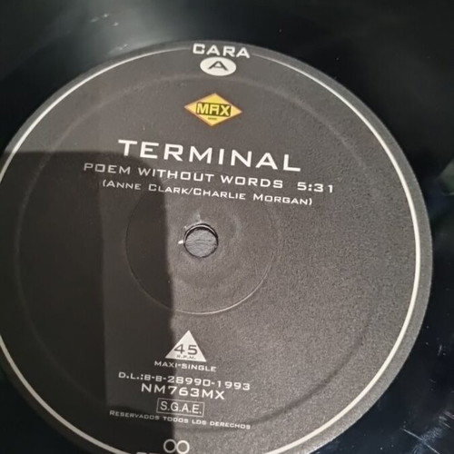 Vinyl Terminal Poem Without Words used