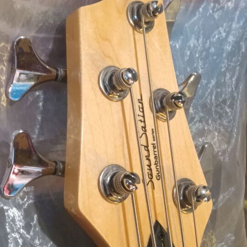 Sound Station SPCL Edition 5-string electric bass guitar