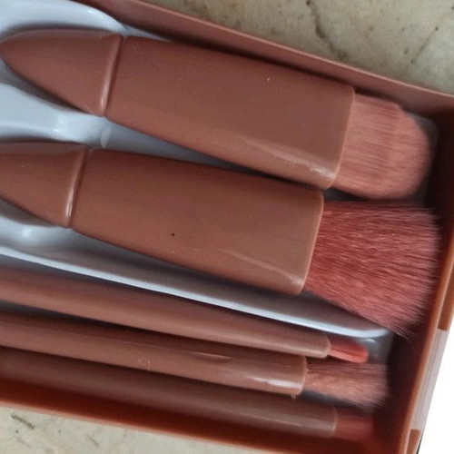 Makeup brush set of 5 in plastic case with mirror