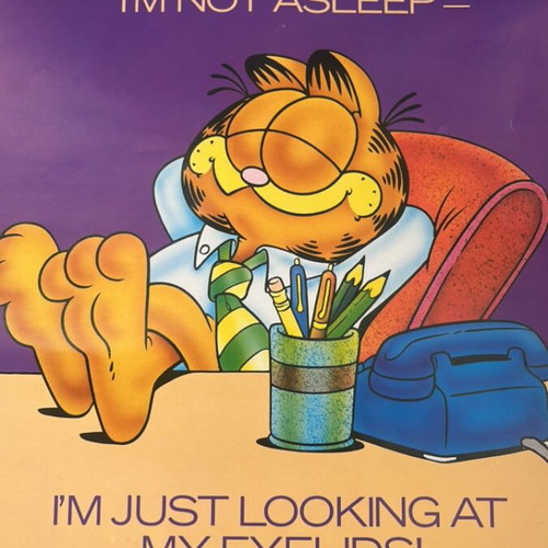 Garfield 1978 calendar used