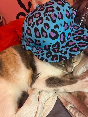 Leopard snapback hat, aforeto