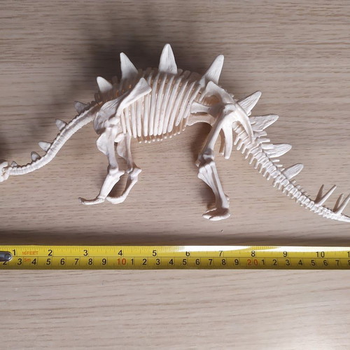 Assembled plastic dinosaur skeleton like new