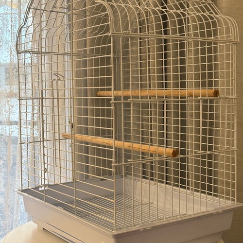 Parrot cage new with feeders