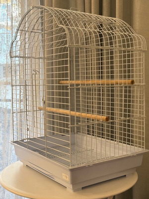 Parrot cage new with feeders