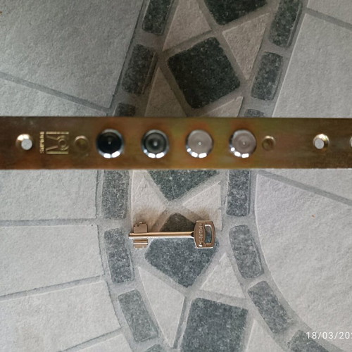 Domus lock used with four locking pins and key