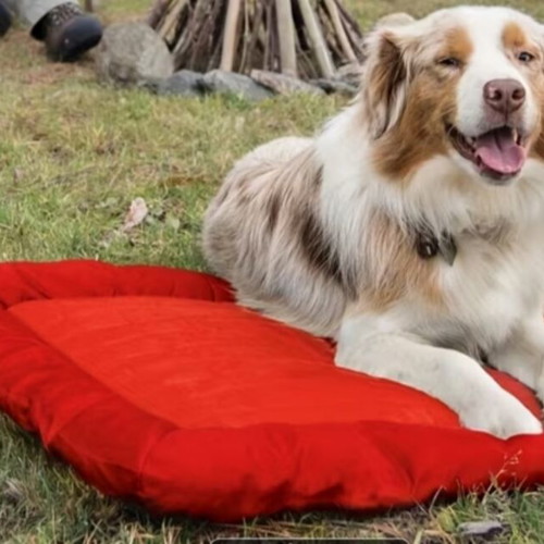 Portable pet pillows pack of 2, waterproof material